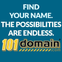 101domain logo